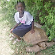 Ilboudo