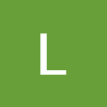 Lingo Camara