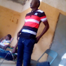 Dibo